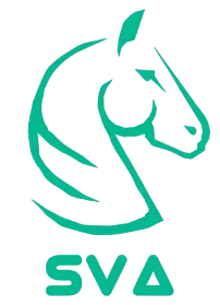 Hội Sinh viên Việt Nam tại Aachen/Jülich e.V. logo