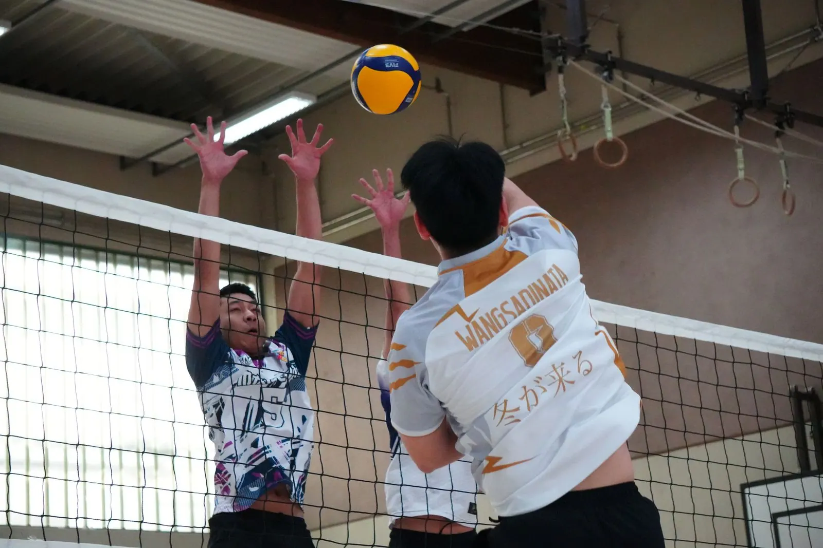 Volleyball
